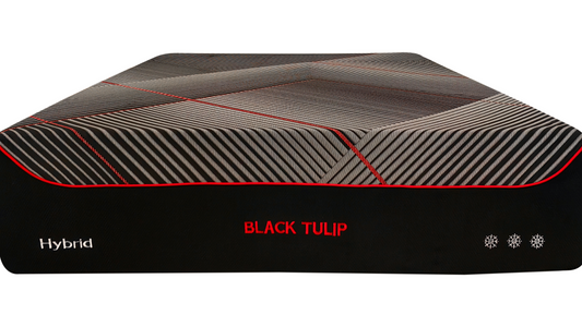 Matelas Tulipe Rouge